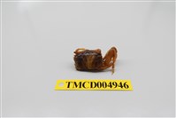 藏品(萬歲大眼蟹)的圖片